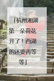 杭州湘湖第一朵荷花开了！西湖的还要再等等
