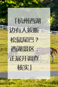 杭州西湖边有人拔断松鼠尾巴？西湖景区：正展开调查核实