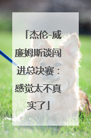 杰伦-威廉姆斯谈闯进总决赛：感觉太不真实了