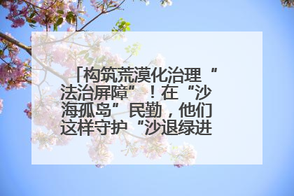 构筑荒漠化治理“法治屏障”！在“沙海孤岛”民勤，他们这样守护“沙退绿进”的生态奇迹
