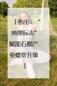 枣庄：“地理标志”赋能石榴产业蝶变升级