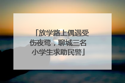 放学路上偶遇受伤夜鹭，聊城三名小学生求助民警