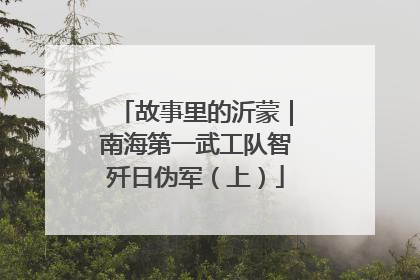 故事里的沂蒙｜南海第一武工队智歼日伪军（上）