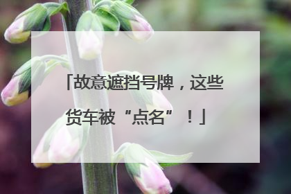 故意遮挡号牌，这些货车被“点名”！