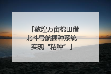 敦煌万亩棉田借北斗导航播种系统实现“精种”
