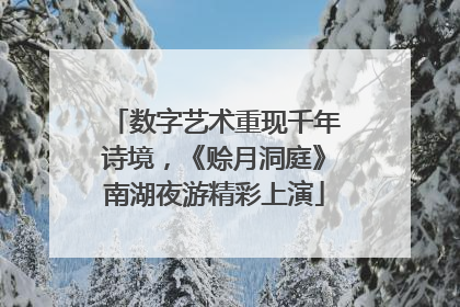 数字艺术重现千年诗境，《赊月洞庭》南湖夜游精彩上演