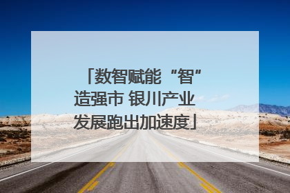 数智赋能“智”造强市 银川产业发展跑出加速度