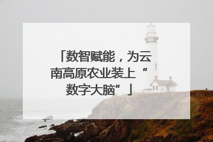 数智赋能，为云南高原农业装上“数字大脑”