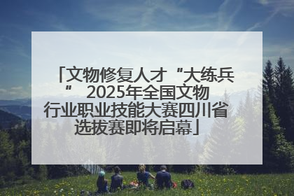 文物修复人才“大练兵” 2025年全国文物行业职业技能大赛四川省选拔赛即将启幕