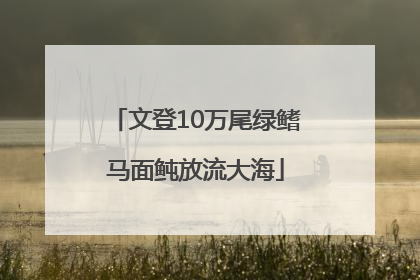 文登10万尾绿鳍马面鲀放流大海