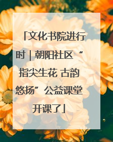 文化书院进行时｜朝阳社区“指尖生花 古韵悠扬”公益课堂开课了