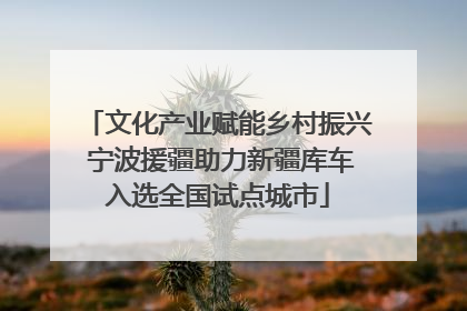 文化产业赋能乡村振兴 宁波援疆助力新疆库车入选全国试点城市