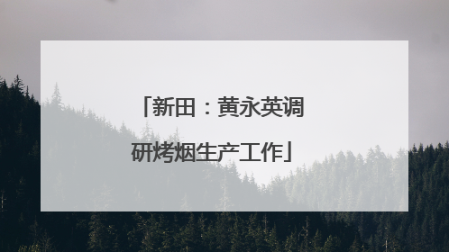 新田：黄永英调研烤烟生产工作
