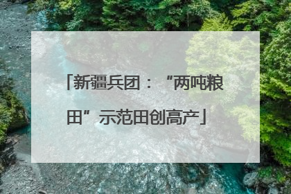 新疆兵团：“两吨粮田”示范田创高产