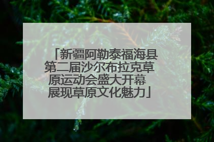 新疆阿勒泰福海县第二届沙尔布拉克草原运动会盛大开幕 展现草原文化魅力