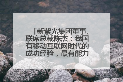 新紫光集团董事、联席总裁陈杰：我国有移动互联网时代的成功经验，最有能力做好AI应用创新