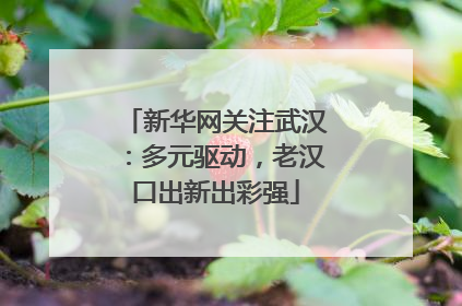 新华网关注武汉：多元驱动，老汉口出新出彩强