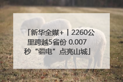 新华全媒+丨2260公里跨越5省份 0.007秒“疆电”点亮山城