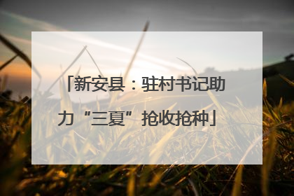 新安县：驻村书记助力“三夏”抢收抢种