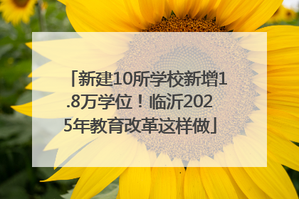 新建10所学校新增1.8万学位！临沂2025年教育改革这样做