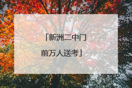 新洲二中门前万人送考