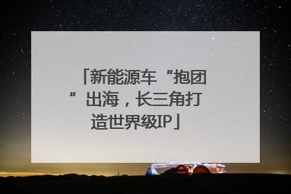 新能源车“抱团”出海，长三角打造世界级IP