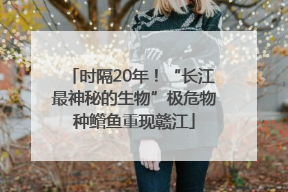 时隔20年！“长江最神秘的生物”极危物种鳤鱼重现赣江