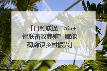 日照联通“5G+智联畜牧养殖”赋能碑廓镇乡村振兴