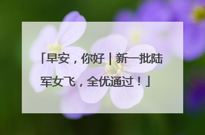 早安，你好｜新一批陆军女飞，全优通过！