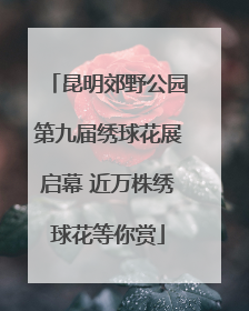 昆明郊野公园第九届绣球花展启幕 近万株绣球花等你赏