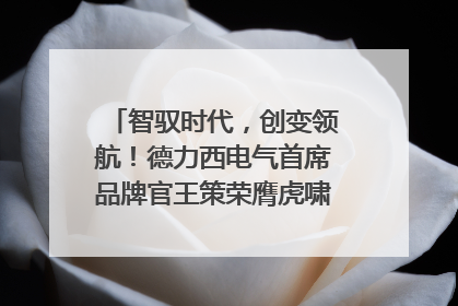 智驭时代，创变领航！德力西电气首席品牌官王策荣膺虎啸奖年度品牌人物