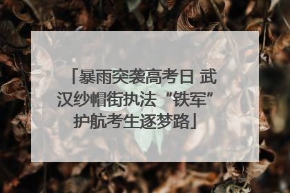 暴雨突袭高考日 武汉纱帽街执法“铁军”护航考生逐梦路
