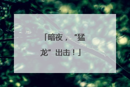 暗夜，“猛龙”出击！
