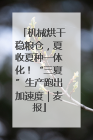 机械烘干稳粮仓，夏收夏种一体化！“三夏”生产跑出加速度｜麦报