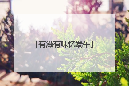 有滋有味忆端午