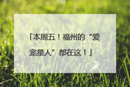 本周五！福州的“爱宠星人”都在这！