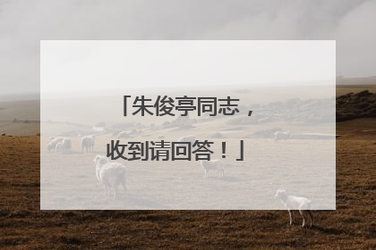 朱俊亭同志，收到请回答！