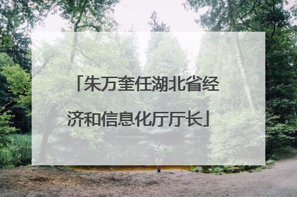 朱万奎任湖北省经济和信息化厅厅长