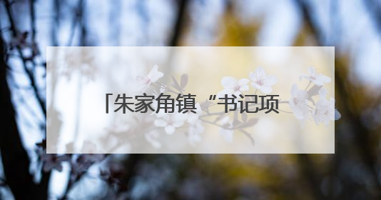 朱家角镇“书记项目”竞秀展风采！这场活动亮出基层党建“成绩单”