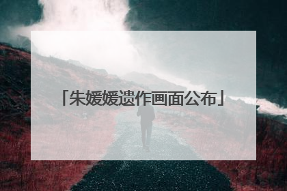 朱媛媛遗作画面公布