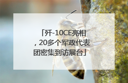 歼-10CE亮相，20多个军政代表团密集到访展台