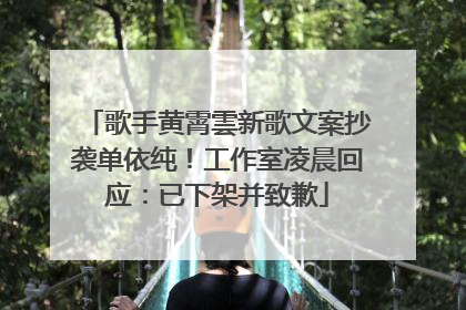 歌手黄霄雲新歌文案抄袭单依纯！工作室凌晨回应：已下架并致歉