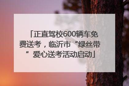 正直驾校600辆车免费送考，临沂市“绿丝带”爱心送考活动启动