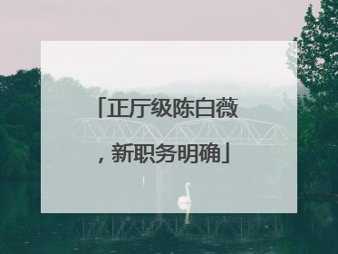 正厅级陈白薇，新职务明确