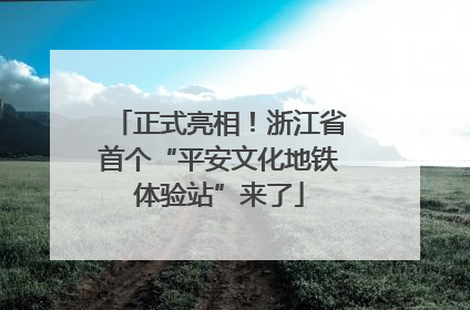 正式亮相！浙江省首个“平安文化地铁体验站”来了