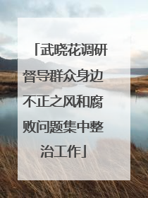 武晓花调研督导群众身边不正之风和腐败问题集中整治工作