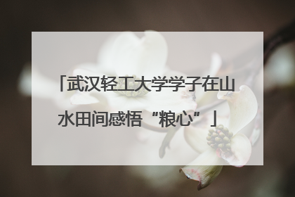 武汉轻工大学学子在山水田间感悟“粮心”