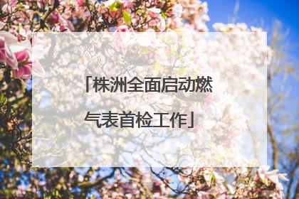 株洲全面启动燃气表首检工作