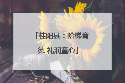 桂阳县：阶梯育德 礼润童心