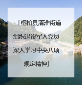 桐柏县清淮街道组织退役军人党员深入学习中央八项规定精神